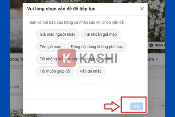 Chọn lý do và gửi báo cáo