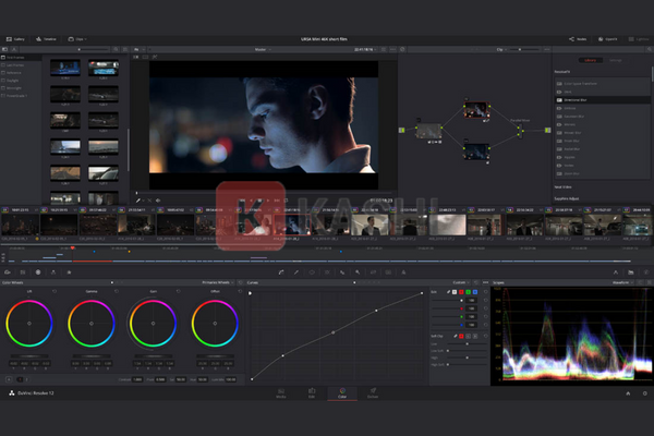 Các tính năng nổi bật của DaVinci Resolve 16