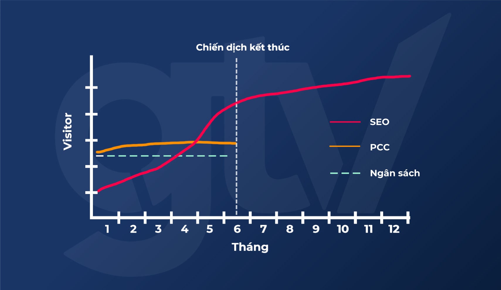 Tối Ưu Hóa Công Cụ Tìm Kiếm (SEO): Hướng Dẫn Chi Tiết Cho Người Mới Bắt Đầu Hình minh họa biểu đồ so sánh ROI của kênh SEO và Paid Advertising