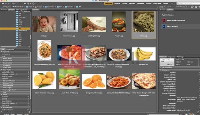 Các tính năng nổi bật của Adobe Bridge CC 2020