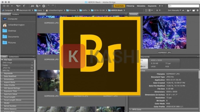 Các tính năng nổi bật của Adobe Bridge CC 2022