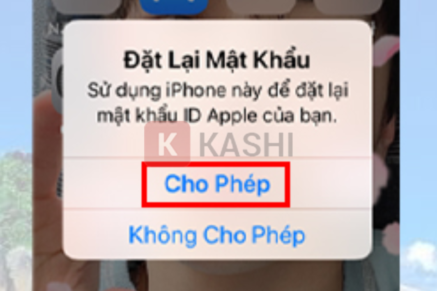Đặt lại mật khẩu