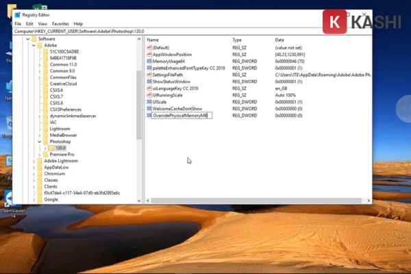 Đặt tên cho giá trị mới là OverridePhysicalMemoryMB