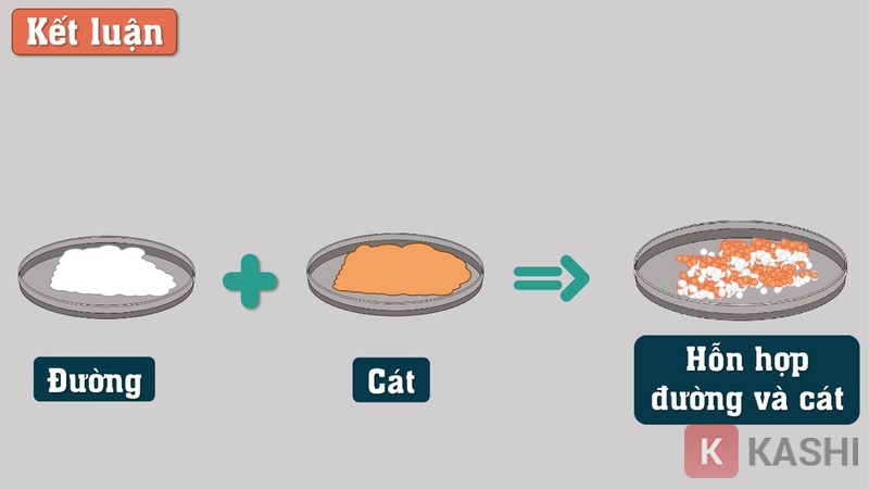 Trình bày rõ ràng các bước tiến hành thí nghiệm