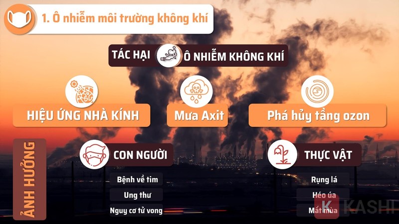 Chỉ ra ngắn gọn những ảnh hưởng của ô nhiễm không khí tới các sinh vật trên trái đất