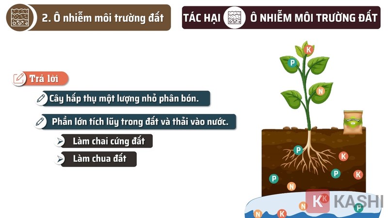 Phân tích rõ ràng hậu quả của ô nhiễm môi trường đất