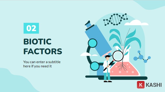 Họa tiết là những vật dụng trong phòng thí nghiệm