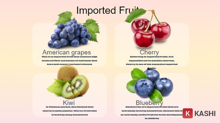 Bố cục trình bày hợp lý