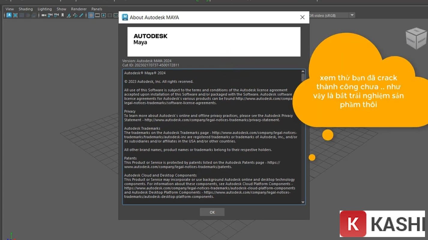 Kiểm tra kích hoạt