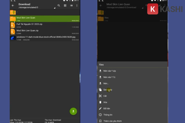 Sao chép thư mục files