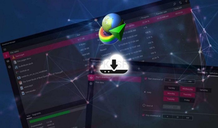 Phần mềm IDM là gì?