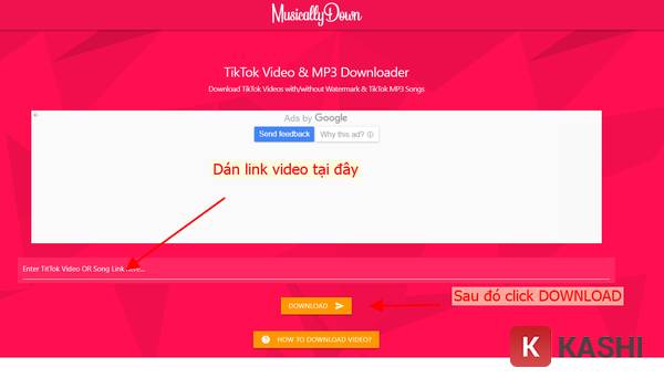 Giao diện website MusicalDown