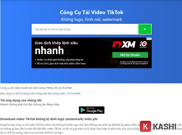 Giao diện website SnapTik.App