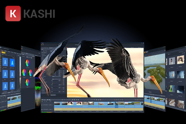 Chỉnh sửa video 4K trong Pinnacle Studio 26 Ultimate