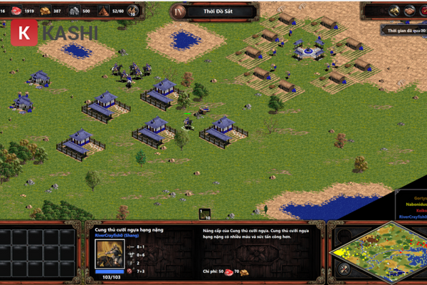 Tùy chỉnh trong AOE 1