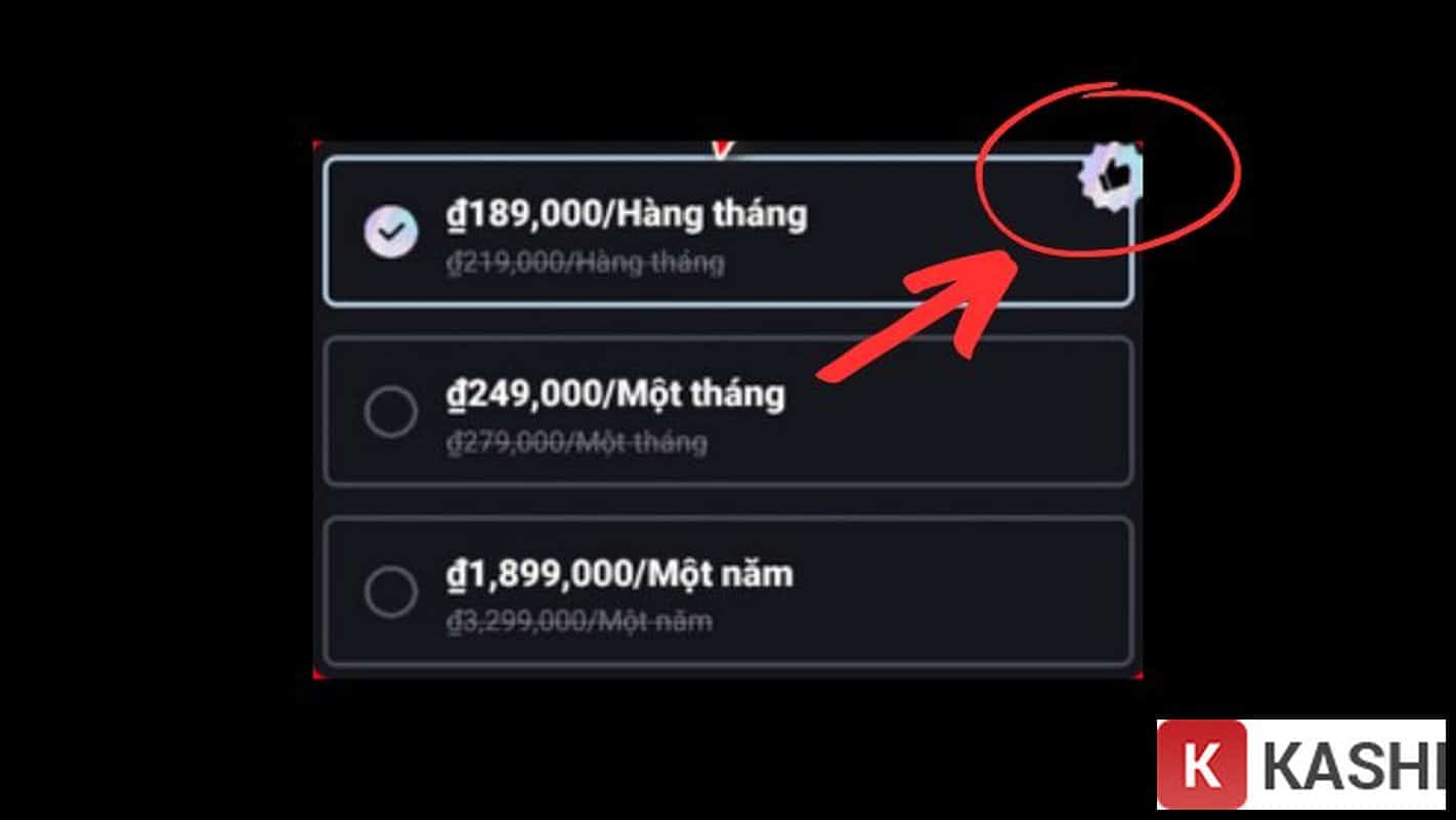 Bảng giá CapCut Pro