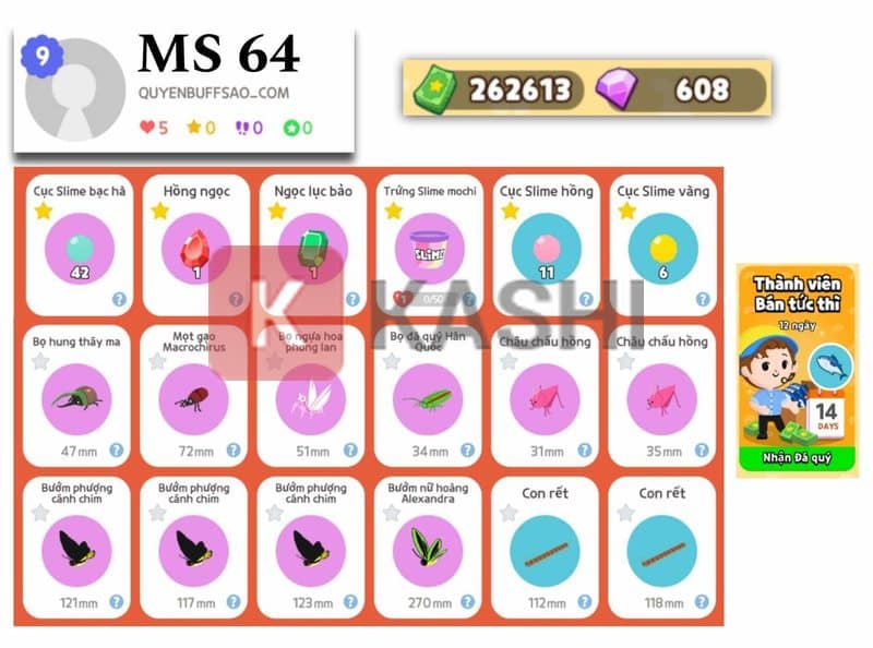 Danh sách tài khoản 3