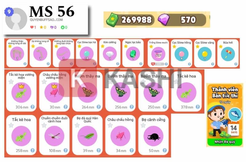 Danh sách tài khoản 9