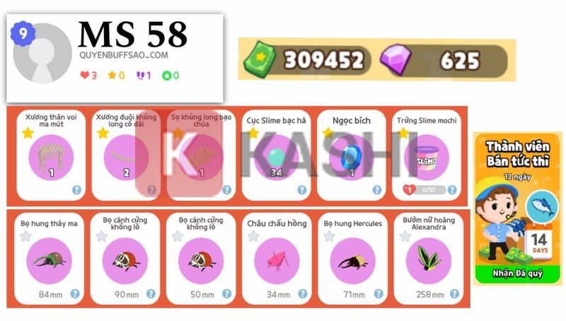 Danh sách tài khoản 8