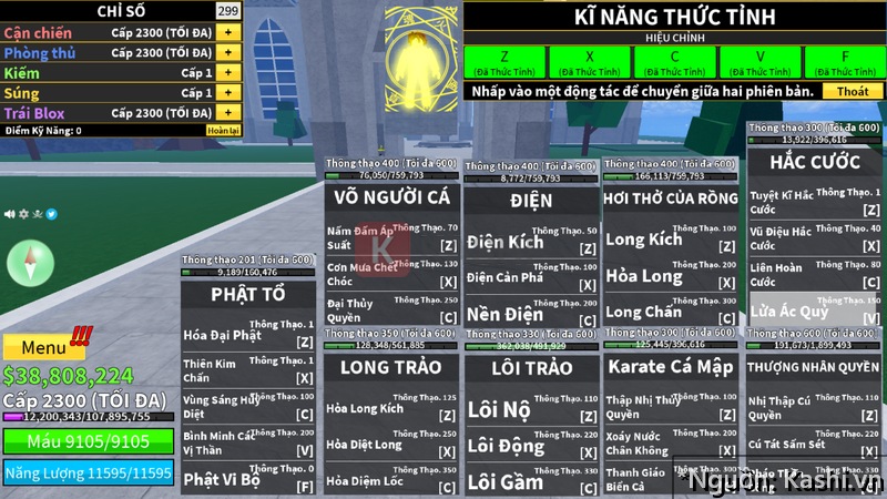 Acc Blox Fruit pro vip