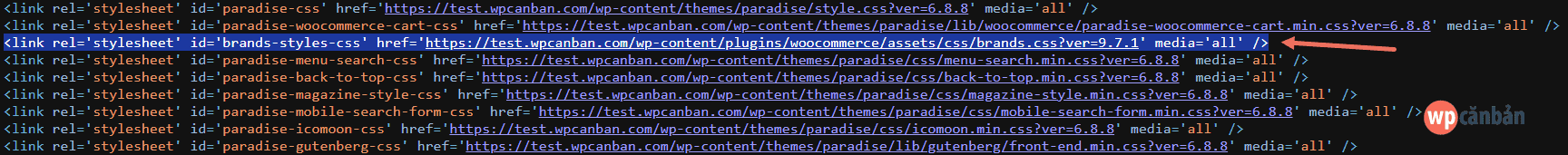 Mô tả: File brands-styles-css trong mã nguồn website