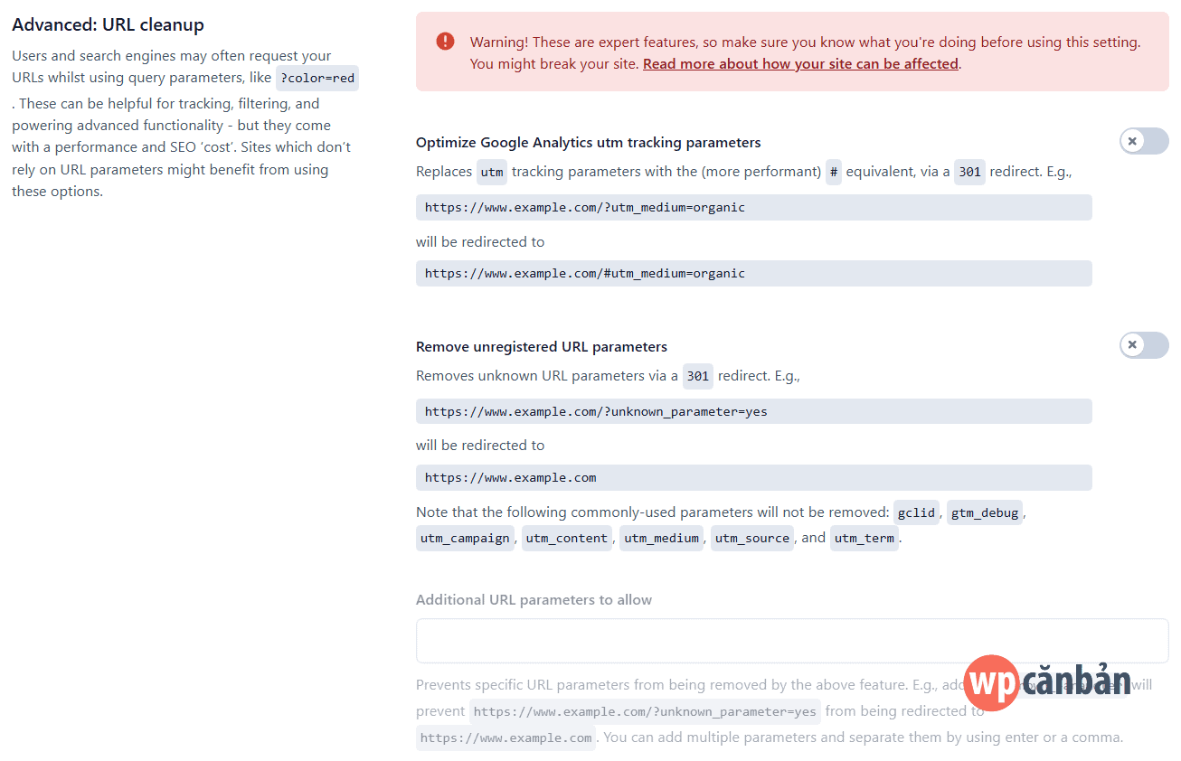Alt text: Mục Advanced: URL Cleanup trong cài đặt Crawl Optimization