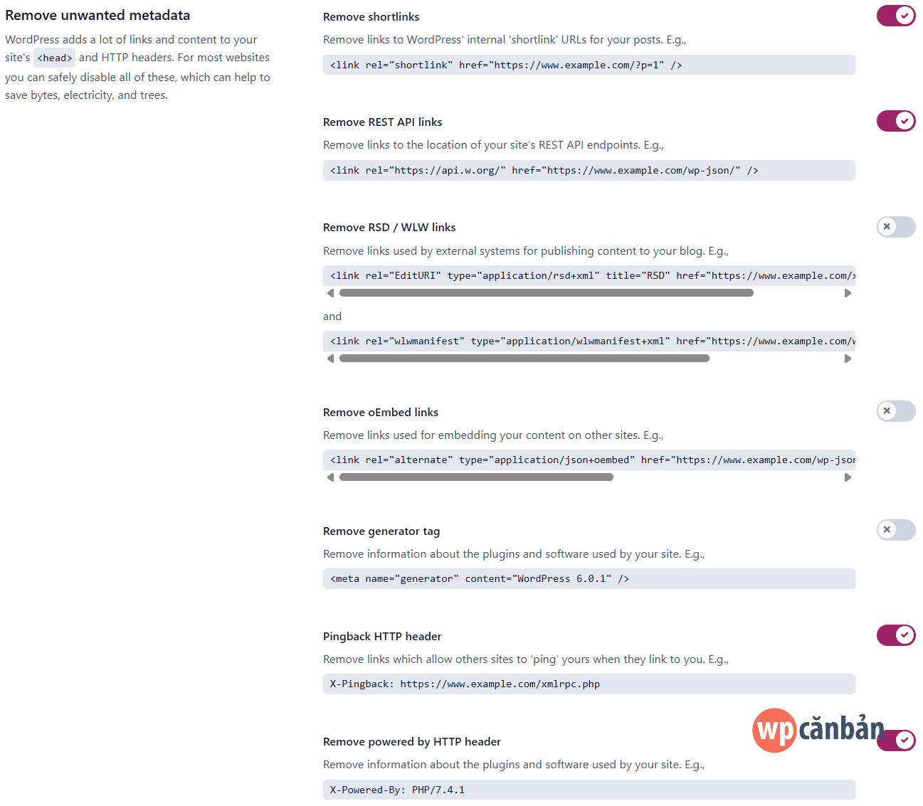 Alt text: Mục Remove Unwanted Metadata trong cài đặt Crawl Optimization