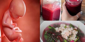 Phụ nữ mang thai 3 tháng đầu ăn rau dền được không? Lợi ích và lưu ý