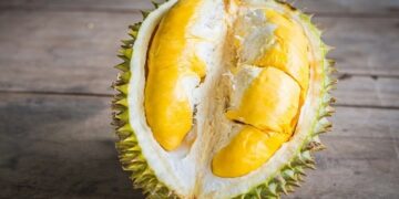 Mẹ sau sinh ăn sầu riêng có nên không? Những điều cần lưu ý